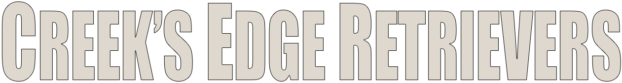 Creek's Edge Retrievers