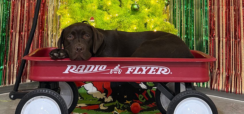 Creek's Edge Perfect Cup of Kona